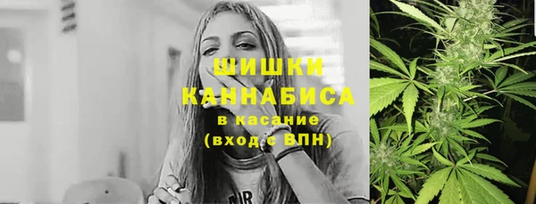 apvp Сясьстрой
