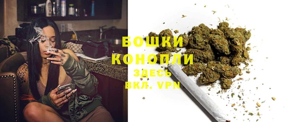 спайс Тавда