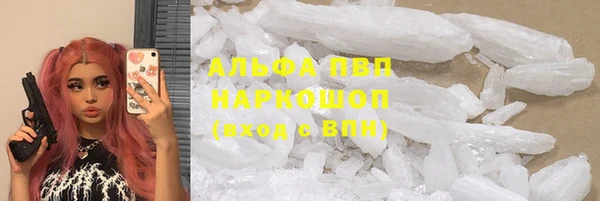 спайс Тавда