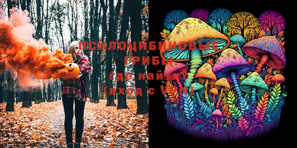 спайс Тавда