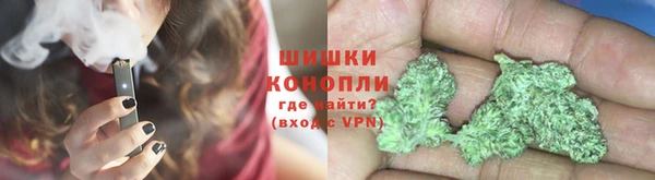 спайс Тавда