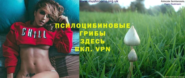apvp Сясьстрой