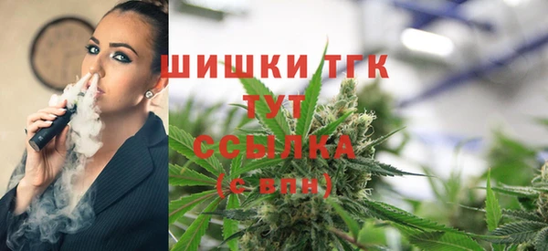 apvp Сясьстрой
