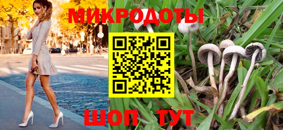 Галлюциногенные грибы Cubensis Владикавказ