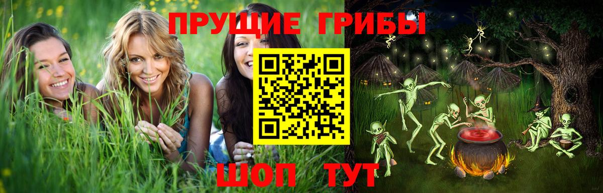 Псилоцибиновые грибы мицелий  Вход с VPN  Галлюциногенные грибы мухоморы  Владикавказ 